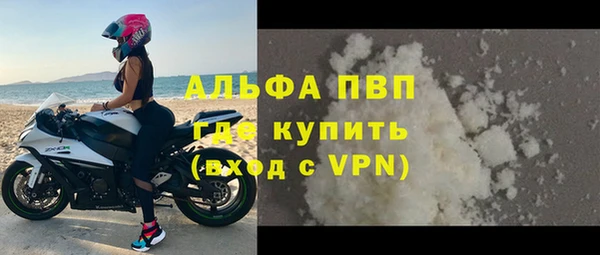 гашик Арсеньев