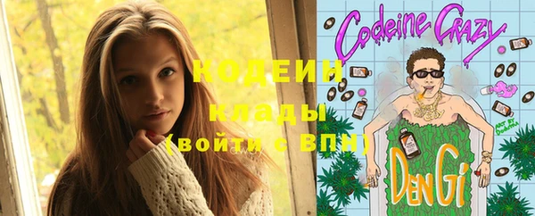гашик Арсеньев