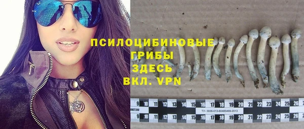прущие крисы Армянск