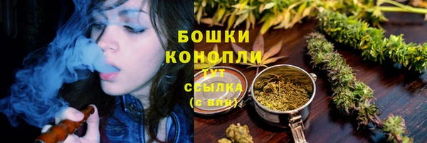 гашик Арсеньев