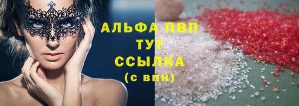 гашик Арсеньев