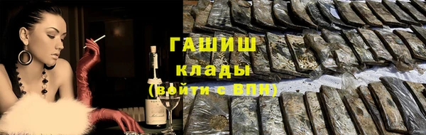 гашик Арсеньев