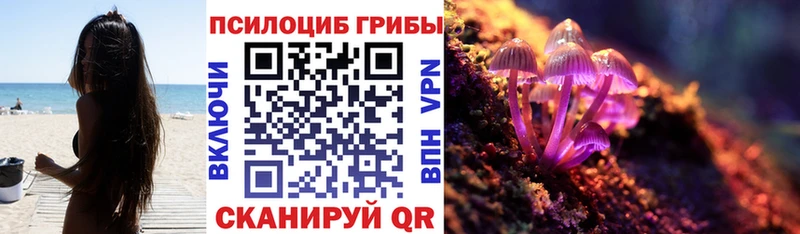 Галлюциногенные грибы мицелий  что такое   Ишимбай 